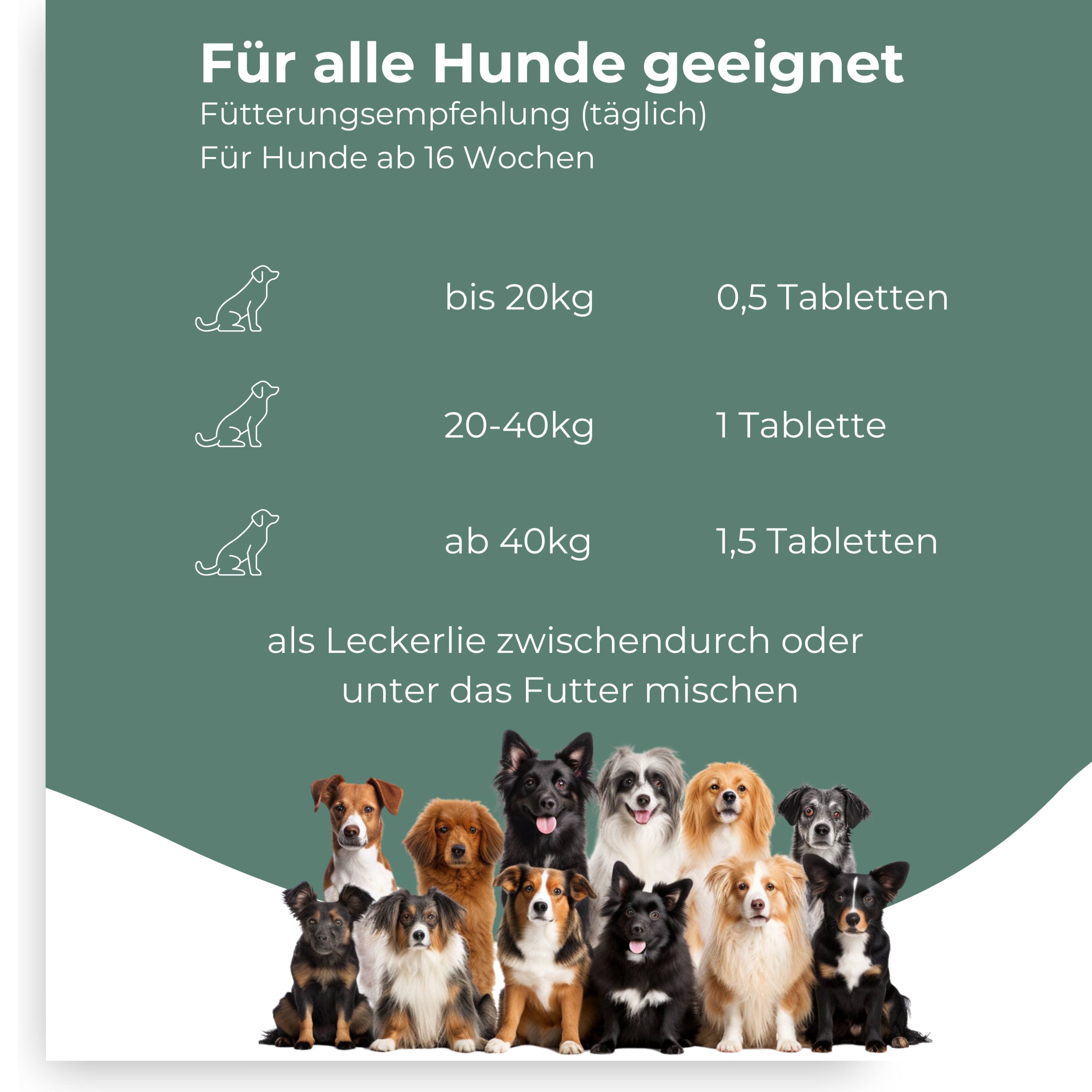 Gelenktabletten für Hunde mit Grünlippmuschel, MSM und Teufelskralle, 100 Stück, 150 g